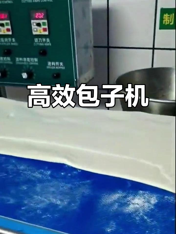 仿手工包子机，低投入高回报，效率惊人