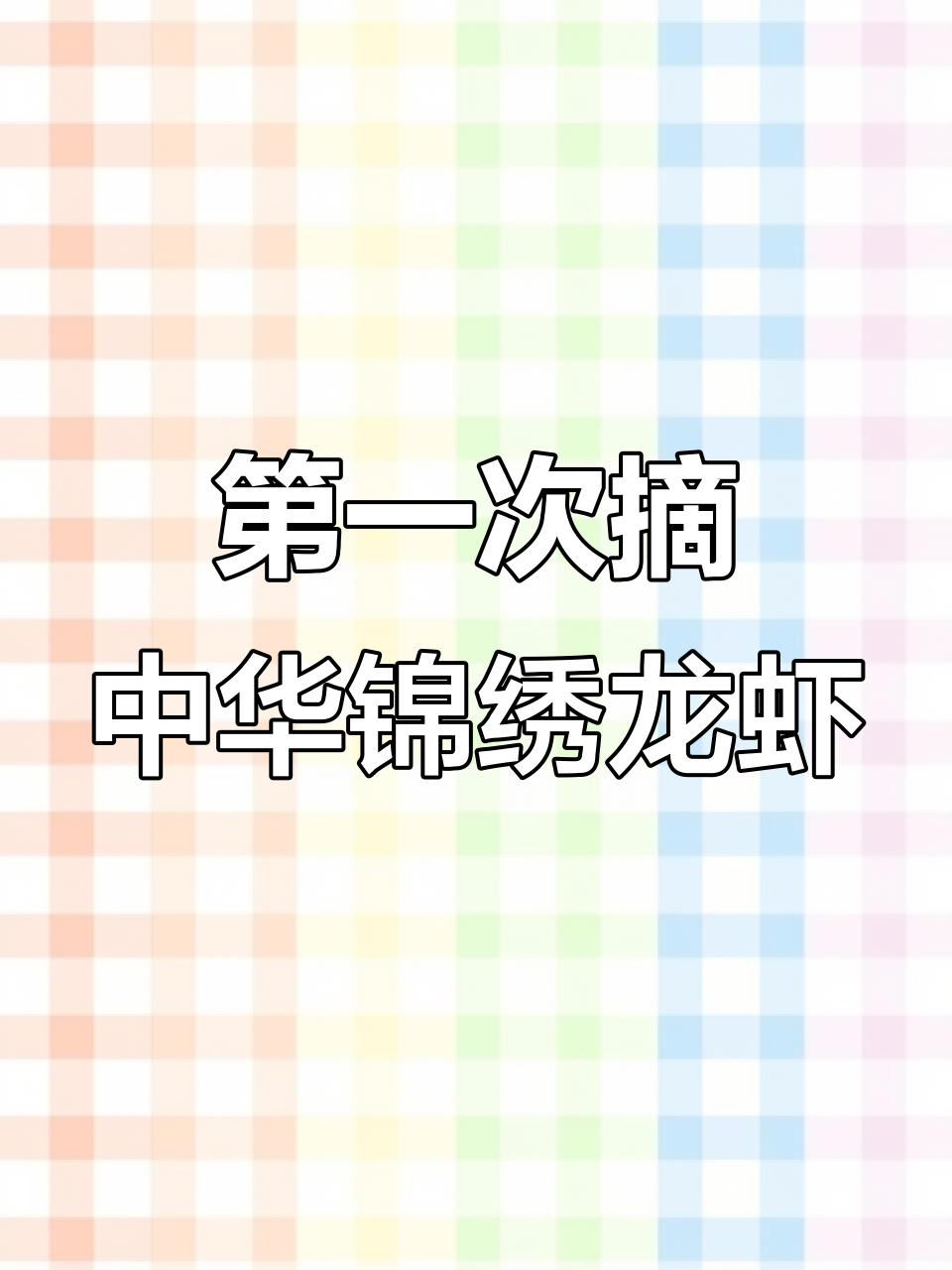 首次抓到中华锦绣龙虾,拼命的后退却逃不掉!