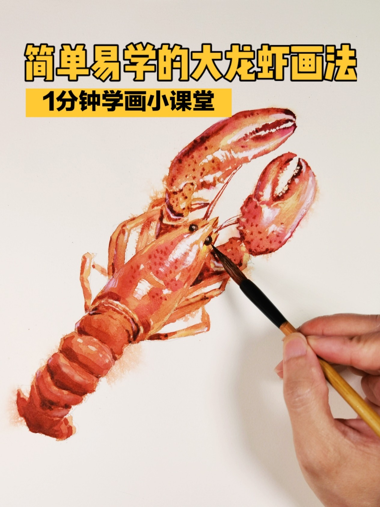 水彩画-简单易学的龙虾画法-绘画教程-画画