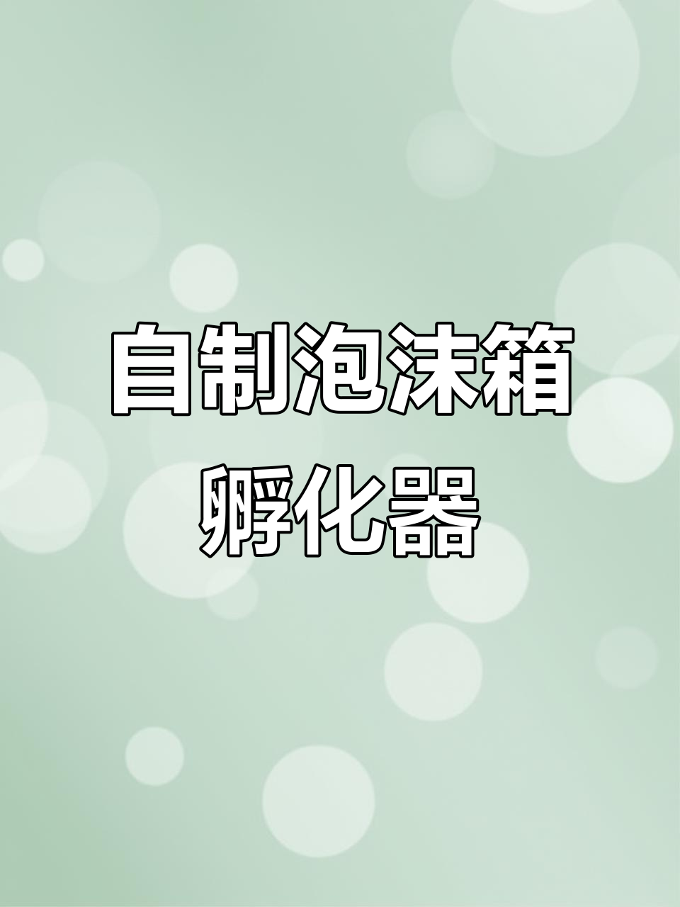在家自制小鸡孵化器,轻松孵出健康小生命