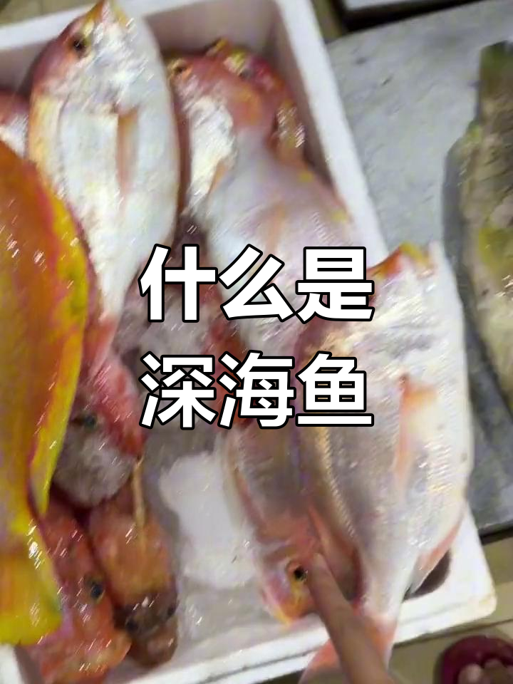深海鱼与浅海鱼的差异解析