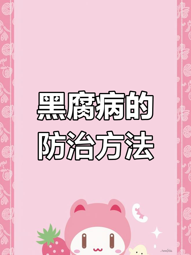 兰花黑腐病防治全攻略:从通风到药剂处理
