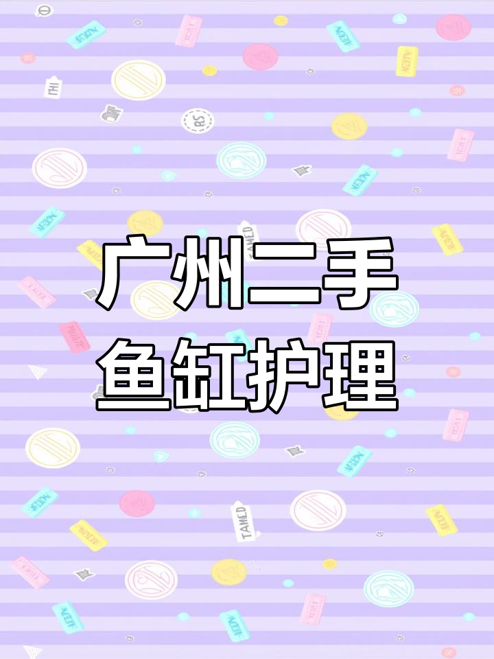 二手鱼缸回收、护理与搬迁,广州本地专业服务