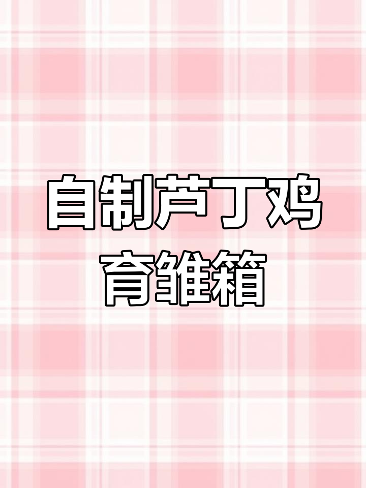 纸箱变芦丁鸡育雏箱,简单又实用!