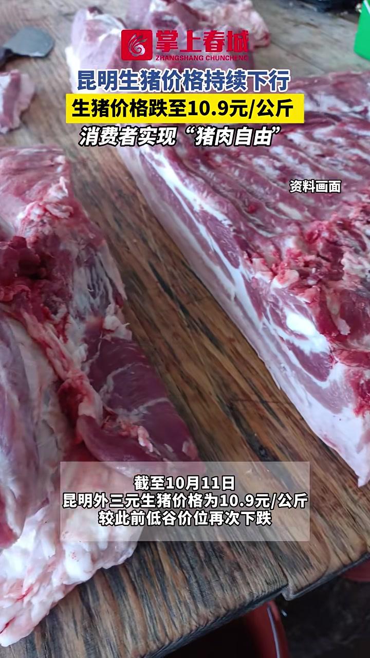 昆明生猪价格持续下行,生猪价格跌至10.9元/公斤,消费者实现“猪肉自由” 昆明 猪肉 价