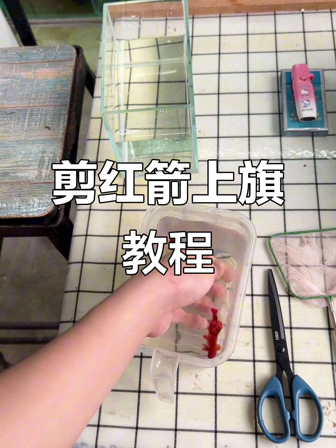 红剑公鱼背鳍修剪技巧,避免炸鳞问题