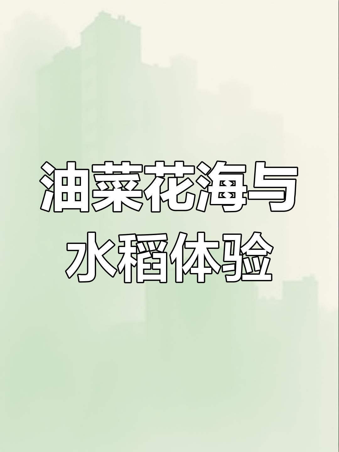 宝山油菜花田与稻浪景观，四季皆宜的美丽乡村