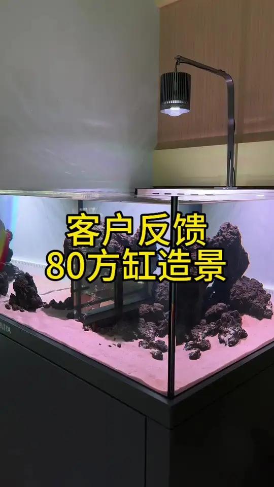 80方缸熔岩石造景,客户反馈视频,高度还原 鱼缸造景 造景 火山石 三湖慈鲷