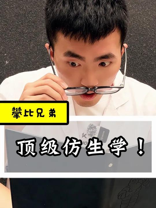 仿生学的神!龙猫