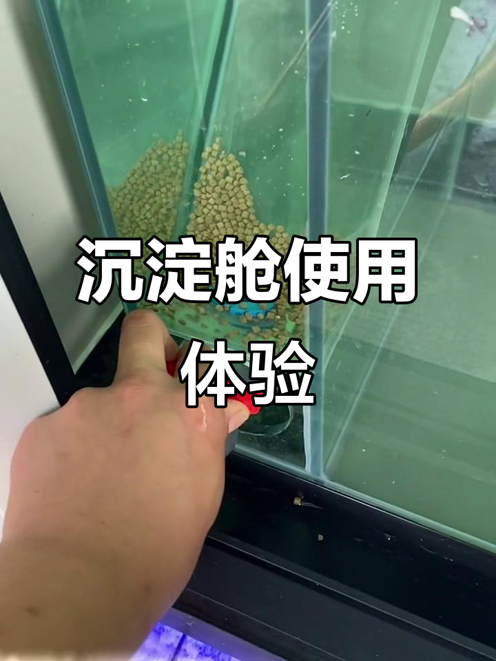 鱼缸沉淀仓效果实测:利弊分析