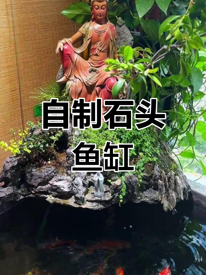 路边大石槽变鱼缸,简单改造轻松养鱼