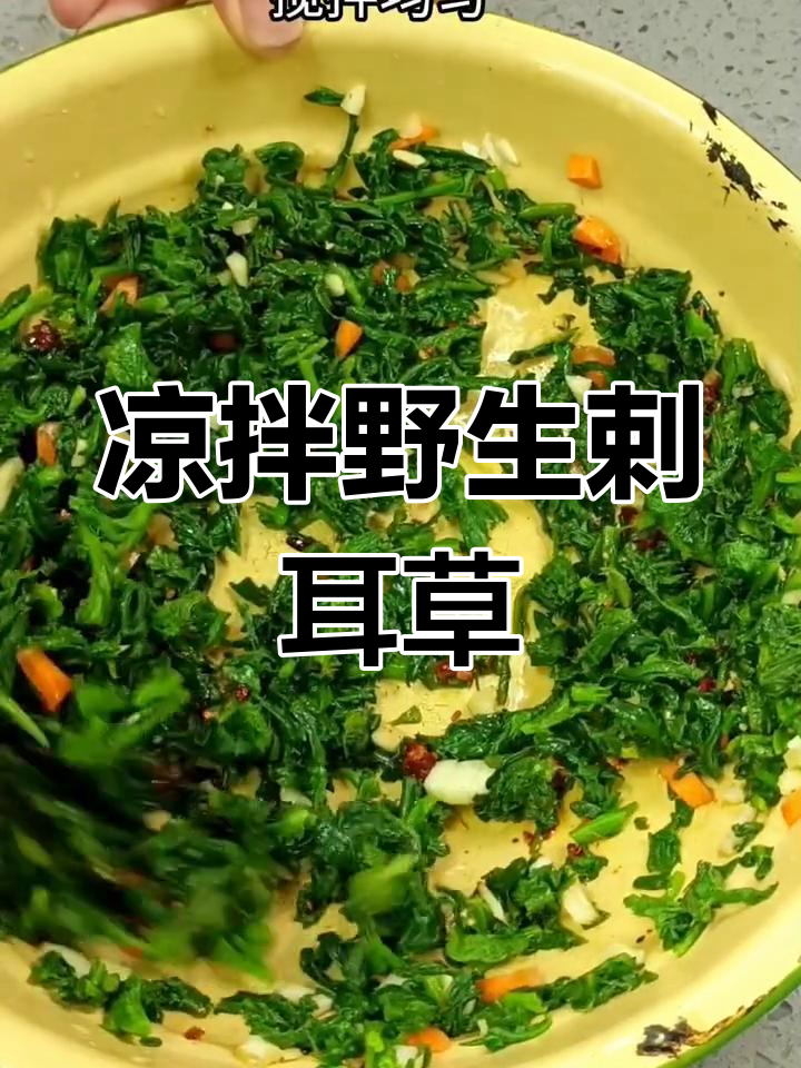 野生剌耳草凉拌做法,鲜香美味又营养