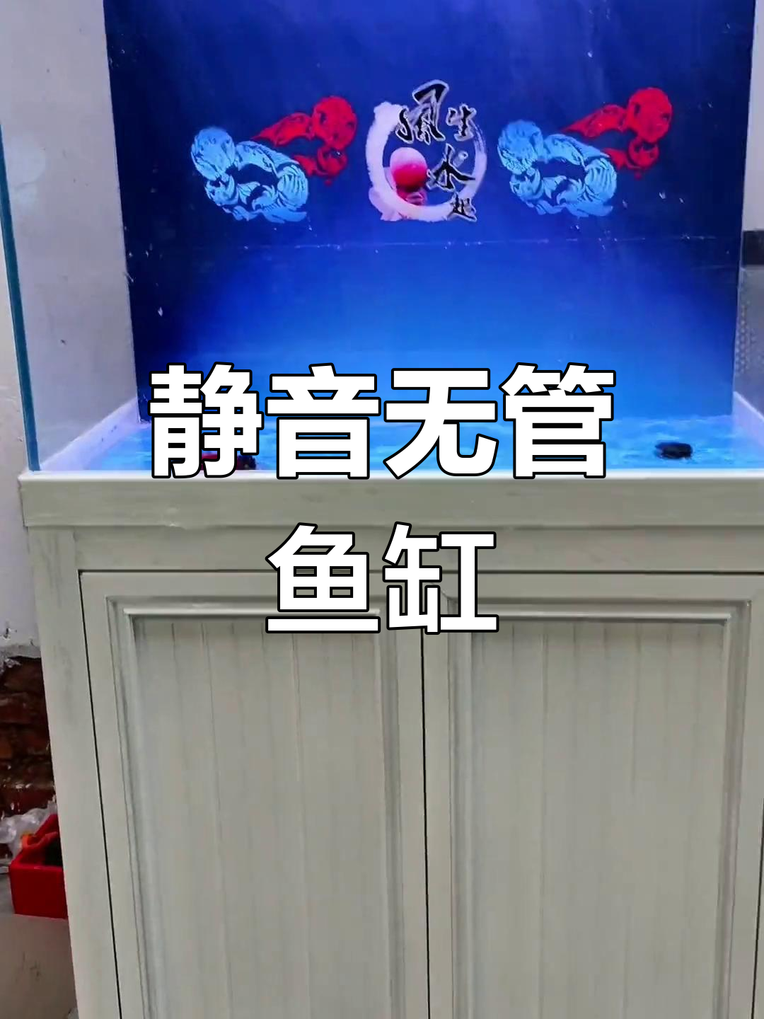 无管道静音底滤鱼缸,小巧却强大,过滤系统全解析