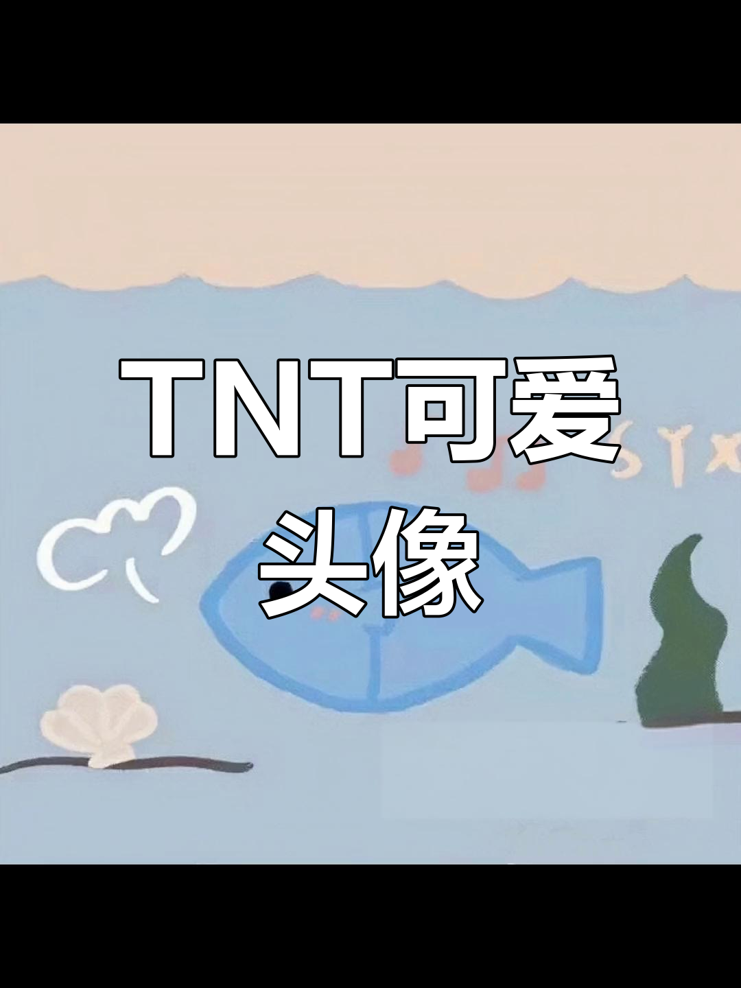 超萌TNT小动物头像,快来下载吧