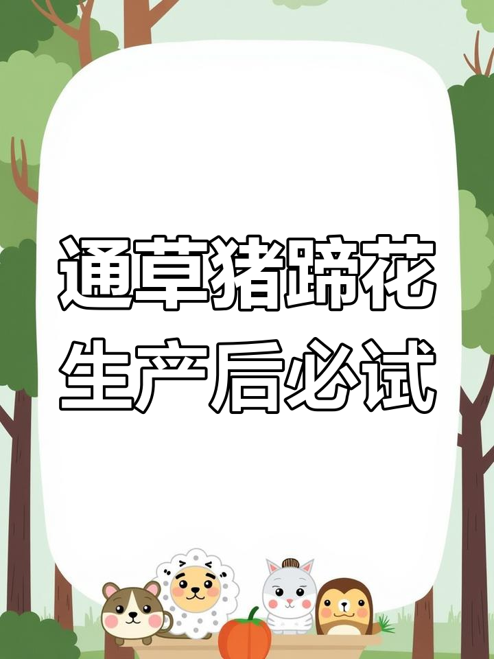 通草猪蹄汤,催奶又美味,花生红枣一起炖