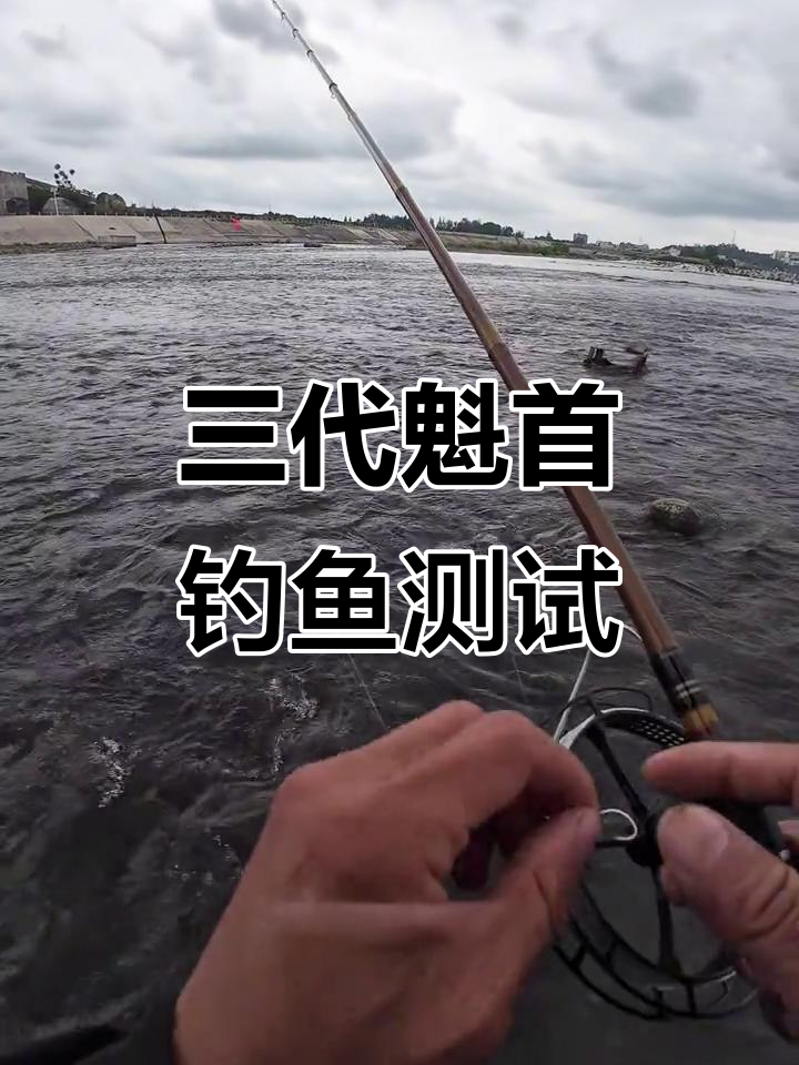 魁首三代钓鲤鱼实测,轻松捕获大鲤