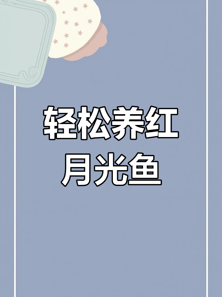 红月光鱼:超耐养的淡水观赏宠物,简单又可爱