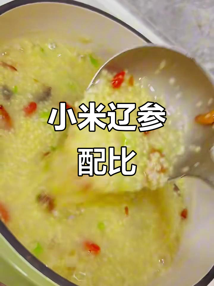小米辽参粥,两人份做法全攻略