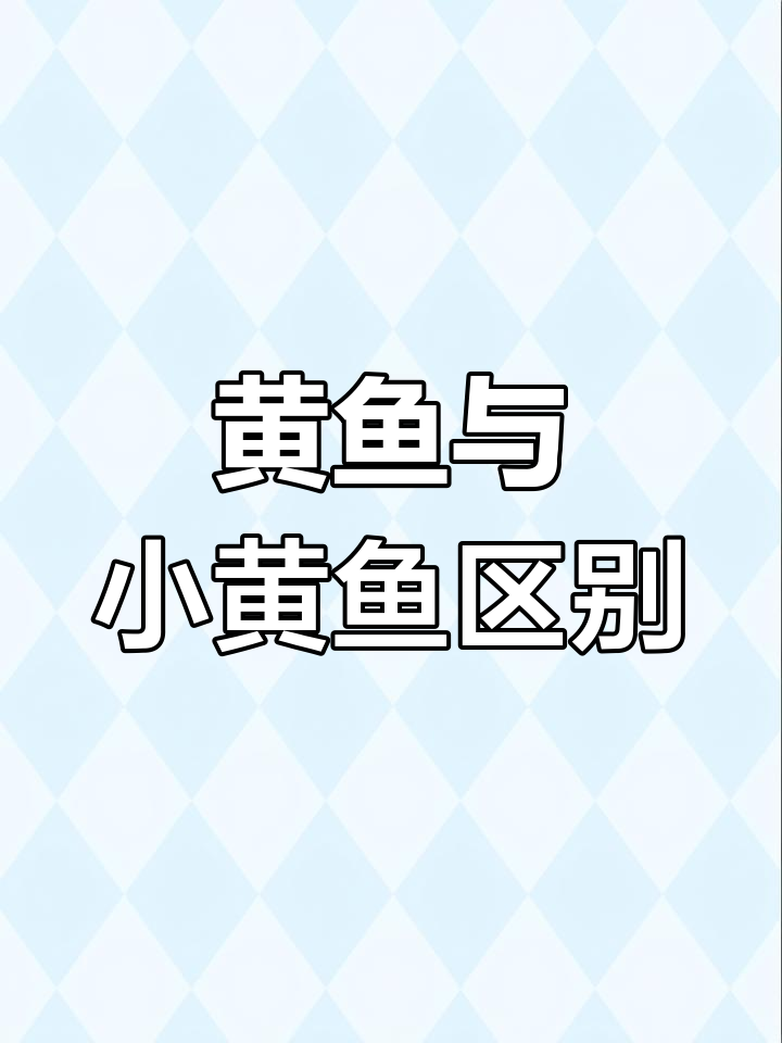 大黄鱼和小黄鱼的辨别技巧,鳞片、头型全不同
