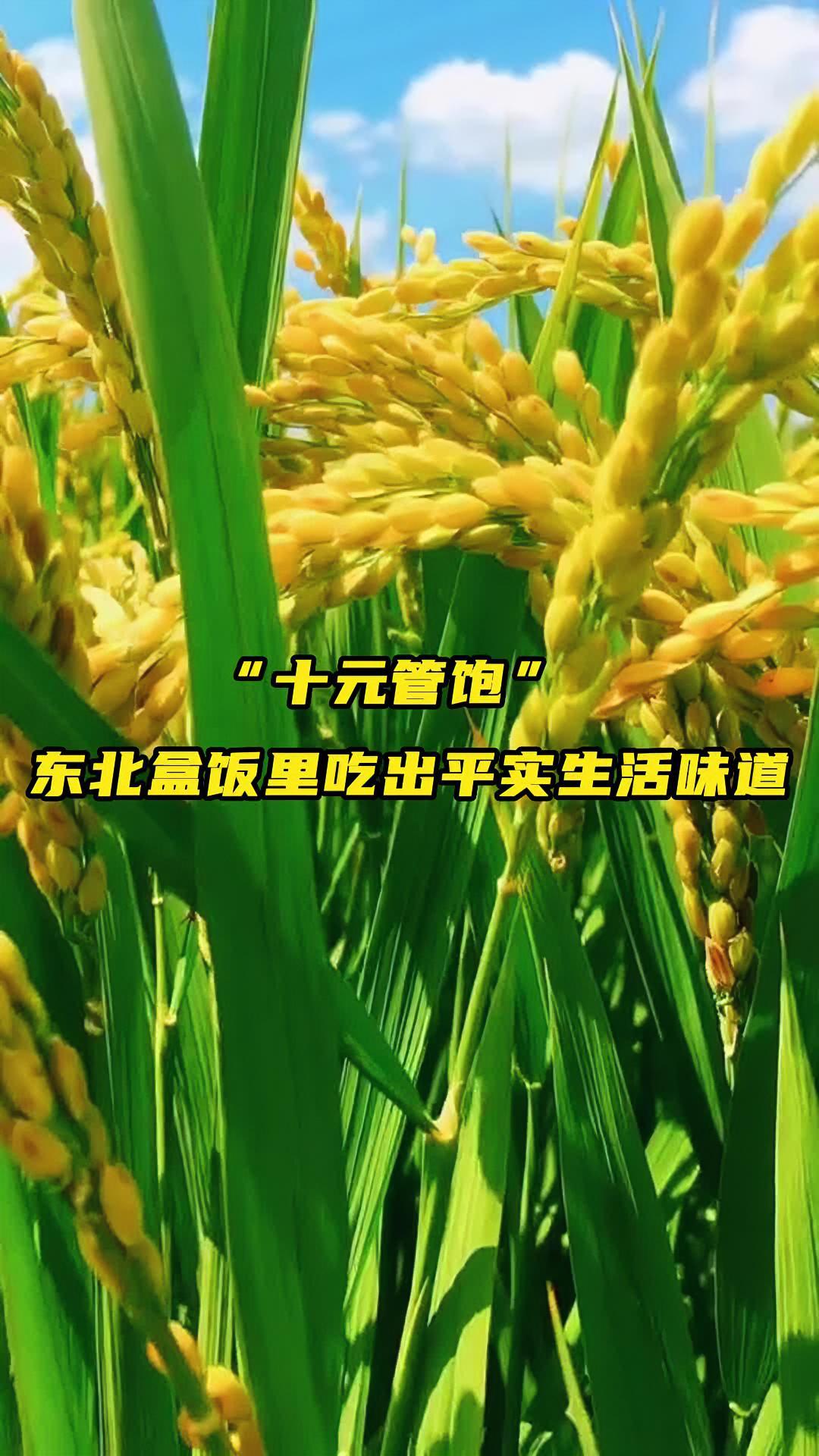 从猎奇到炫富,从自制到揭秘,当屏幕那一 头的食物视频卷无可卷,再也无法引起大众特别兴趣的时
