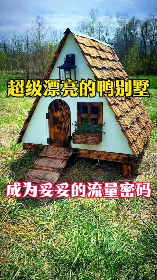 玩鸭，一个漂亮的鸭别墅，成为农场流量密码