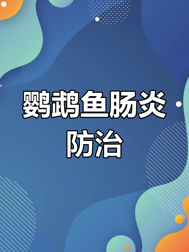 喂食过量易致鹦鹉鱼肠炎,停食并加药治疗