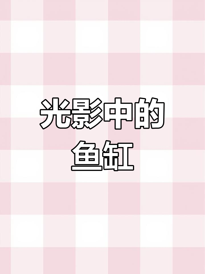 色彩与光影交织,展现鱼缸内生动细节