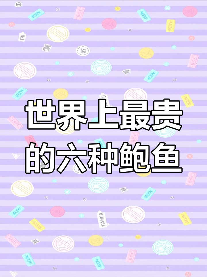 新西兰深海蓝壳鲍鱼,刺身美味又昂贵