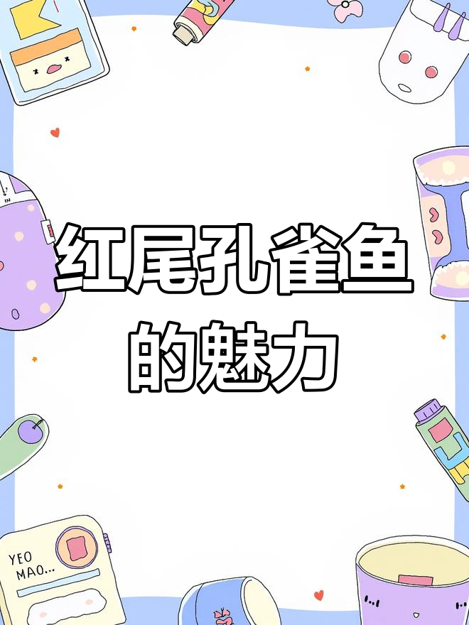 巴西折扇孔雀鱼:红尾礼服与褶皱之美