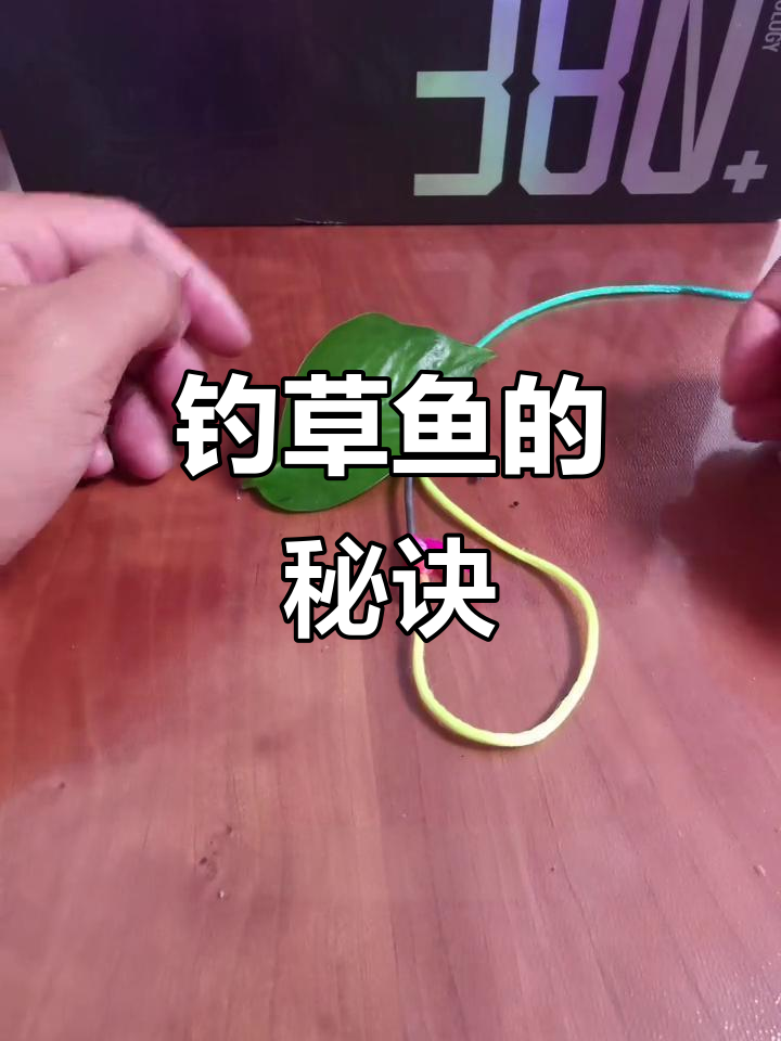 草鱼钓鱼技巧,玉米叶打窝,巧妙绑钩轻松捕获