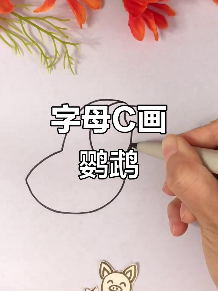 用字母C画可爱鹦鹉,简单又好玩