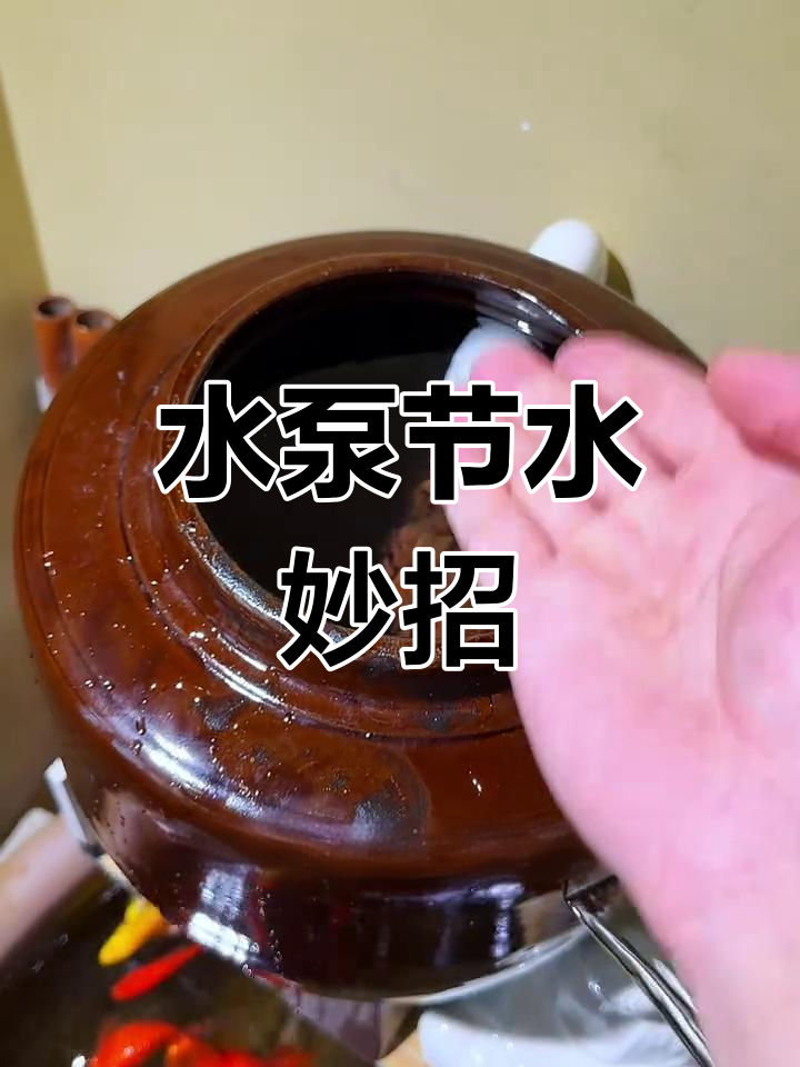 安装水泵,轻松过滤鱼缸水,节能又省电!