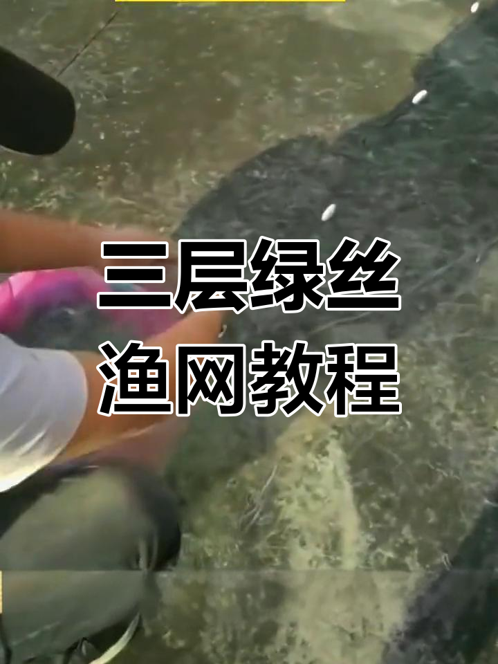 绿丝渔网三层下网技巧,轻松捕鱼