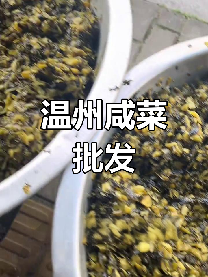 温州咸菜批发,上海南京苏州面店必备!