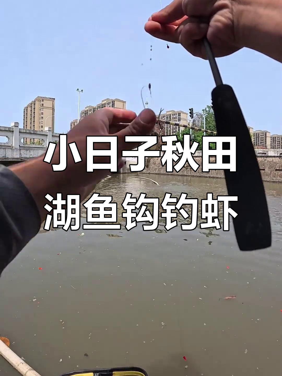 用小日子的秋田狐鱼钩钓河虾,竟然连杆!