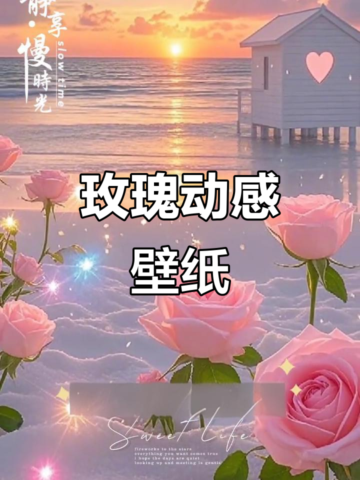 玫瑰花海动态壁纸,唯美浪漫视觉享受