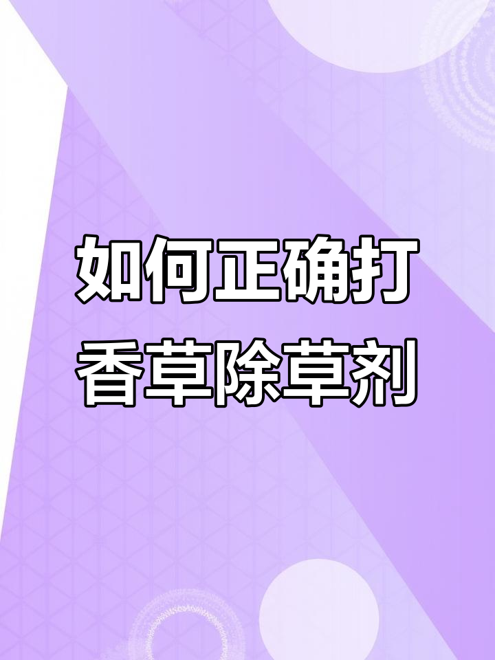 香菜除草剂使用技巧,效果翻倍的秘诀