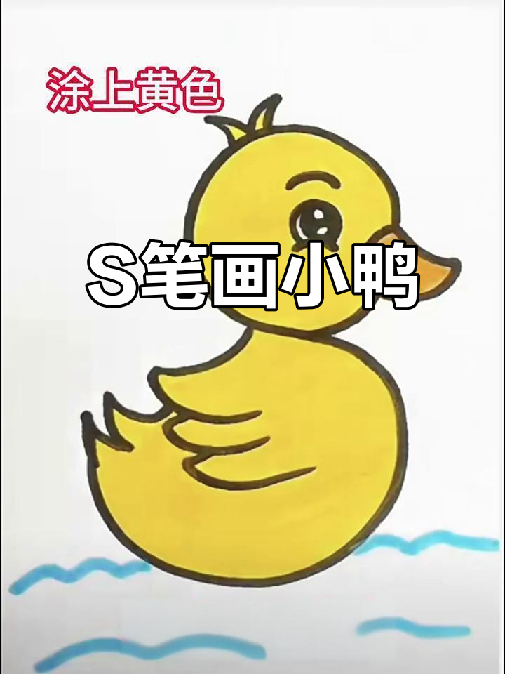 用S画一只可爱小黄鸭，简单又好玩