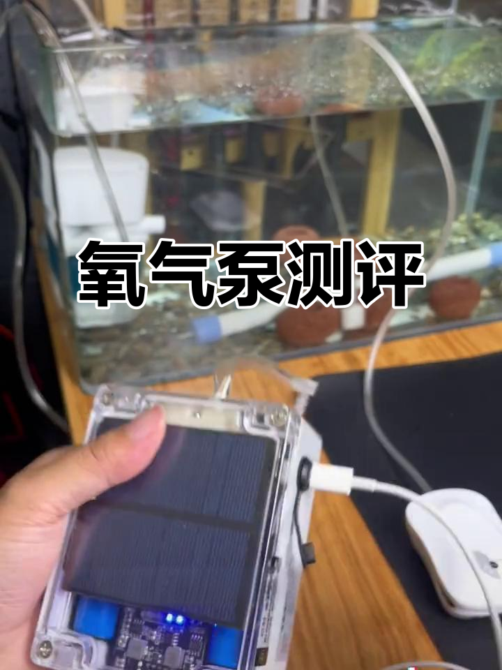 增氧泵价格差异大,养鱼钓鱼效果如何?