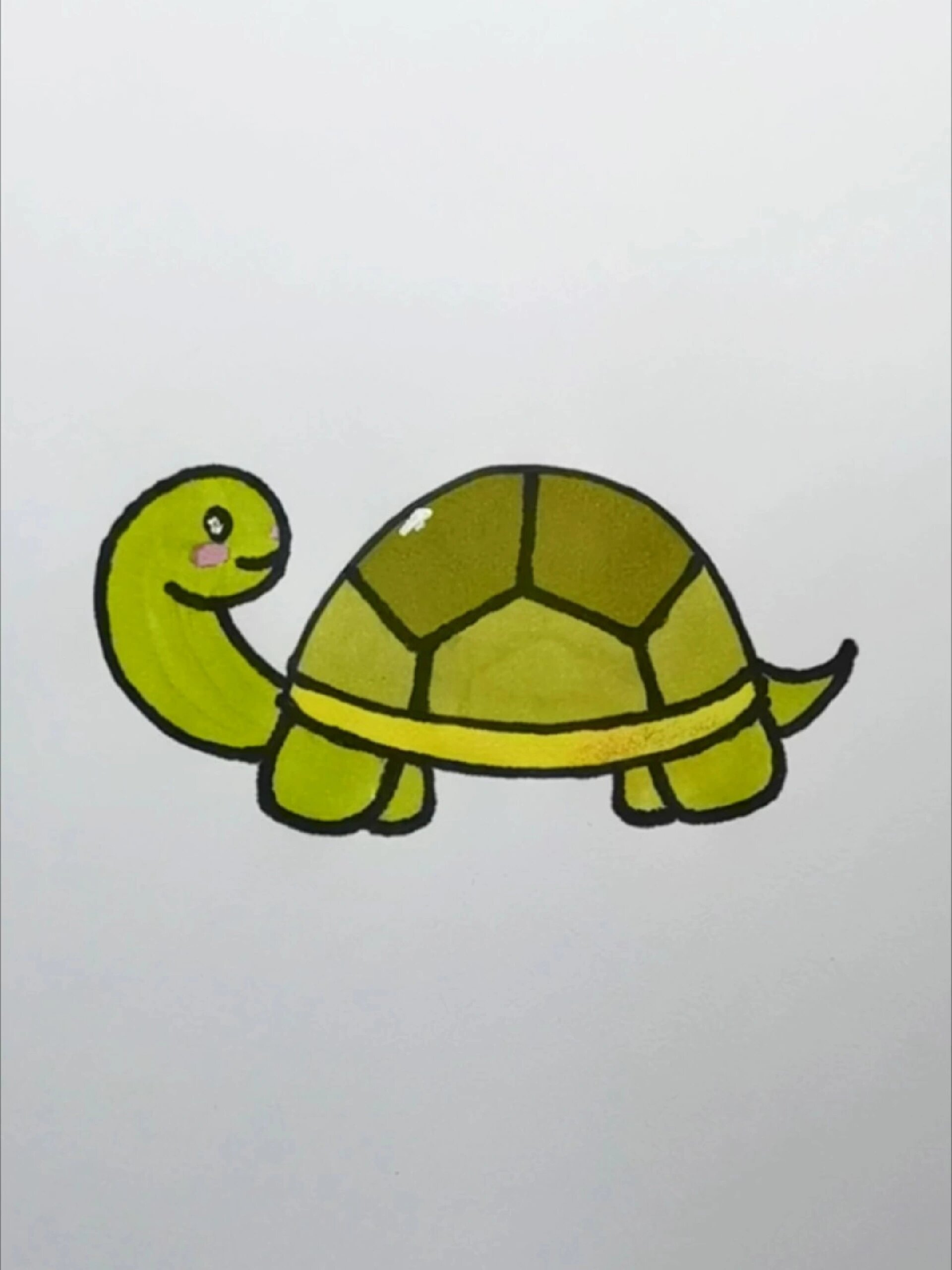 小乌龟简笔画
