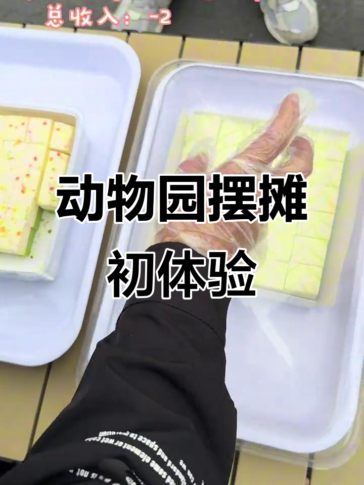 动物园摆摊创业第一天,臭豆腐和玉米饼热销