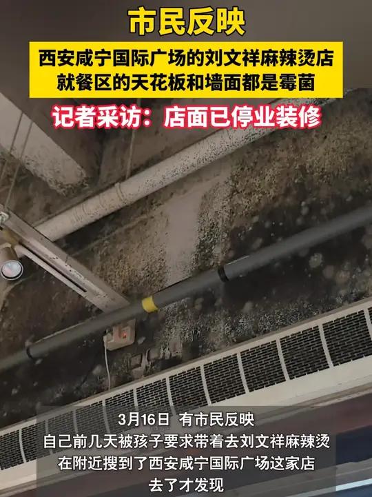 市民反映：西安咸宁国际广场的#刘文祥麻辣烫 店内就餐区的天花板和墙面都是霉菌！记者采访：店