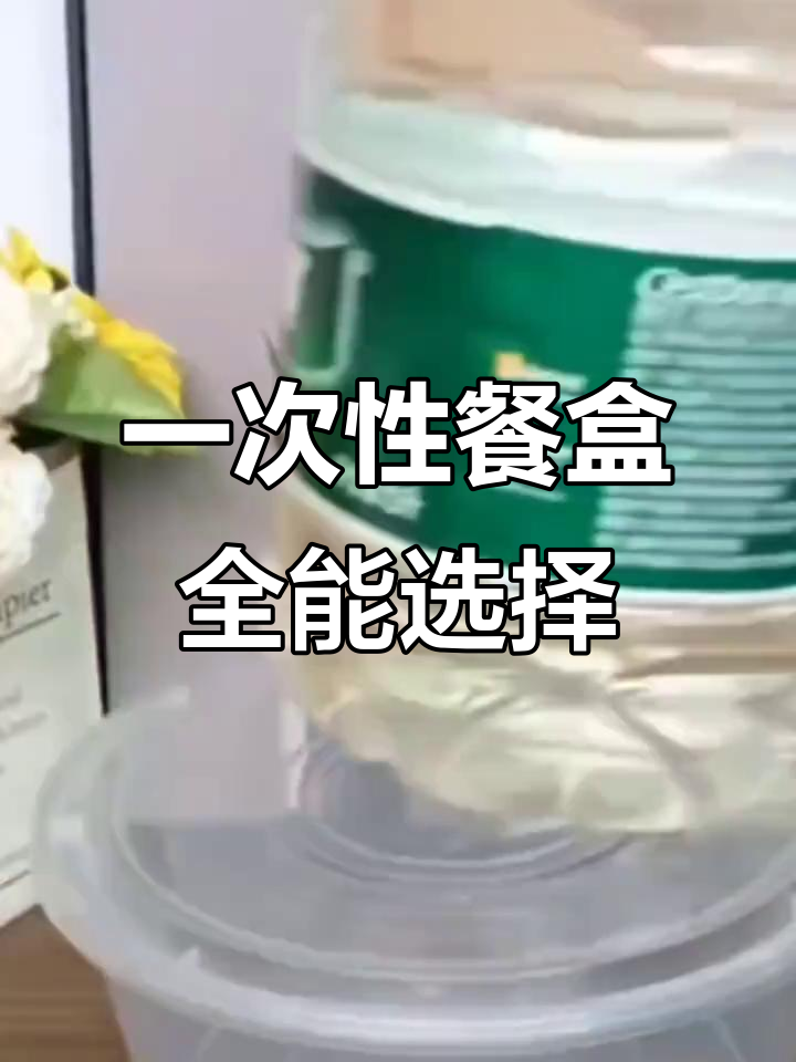 一次性餐盒,适用于各种外卖、烧烤及特色小吃打包