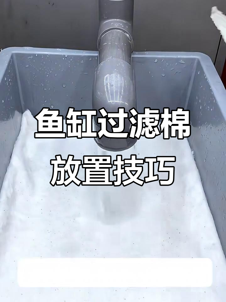 鱼缸过滤棉正确摆放顺序,提升水质效果