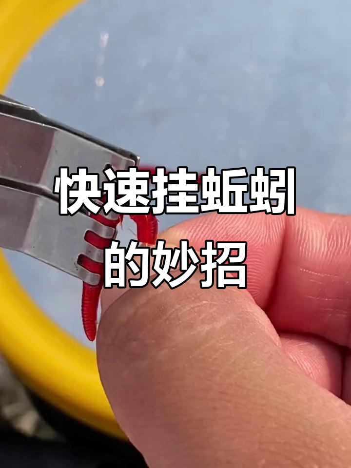 钓鱼必备!这个小夹子让挂蚯蚓更轻松,不脏手
