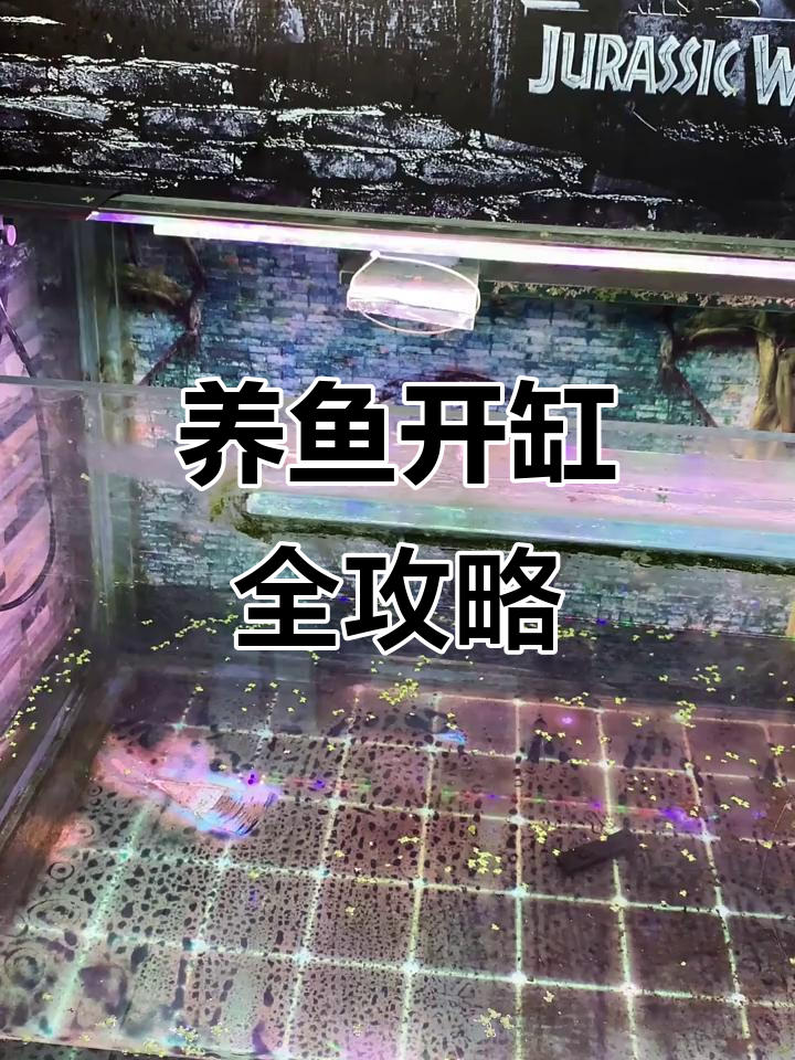 新缸开缸与消毒技巧,养鱼少走弯路