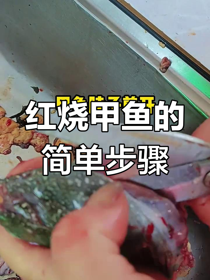 甲鱼红烧做法全攻略,教你轻松做出美味佳肴