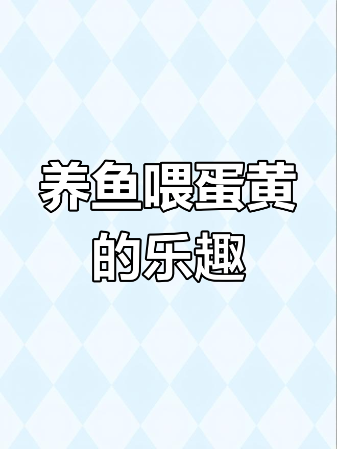 斗鱼第七天喂蛋黄,过程超有趣