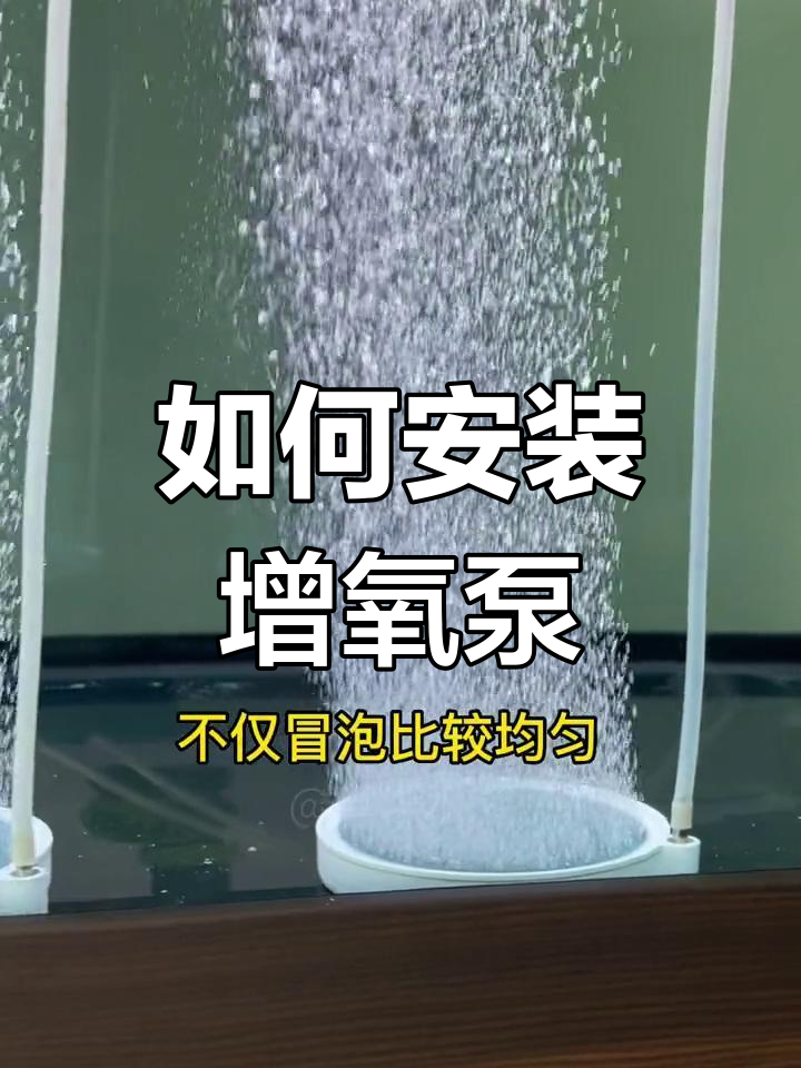 鱼缸增氧泵安装教程
