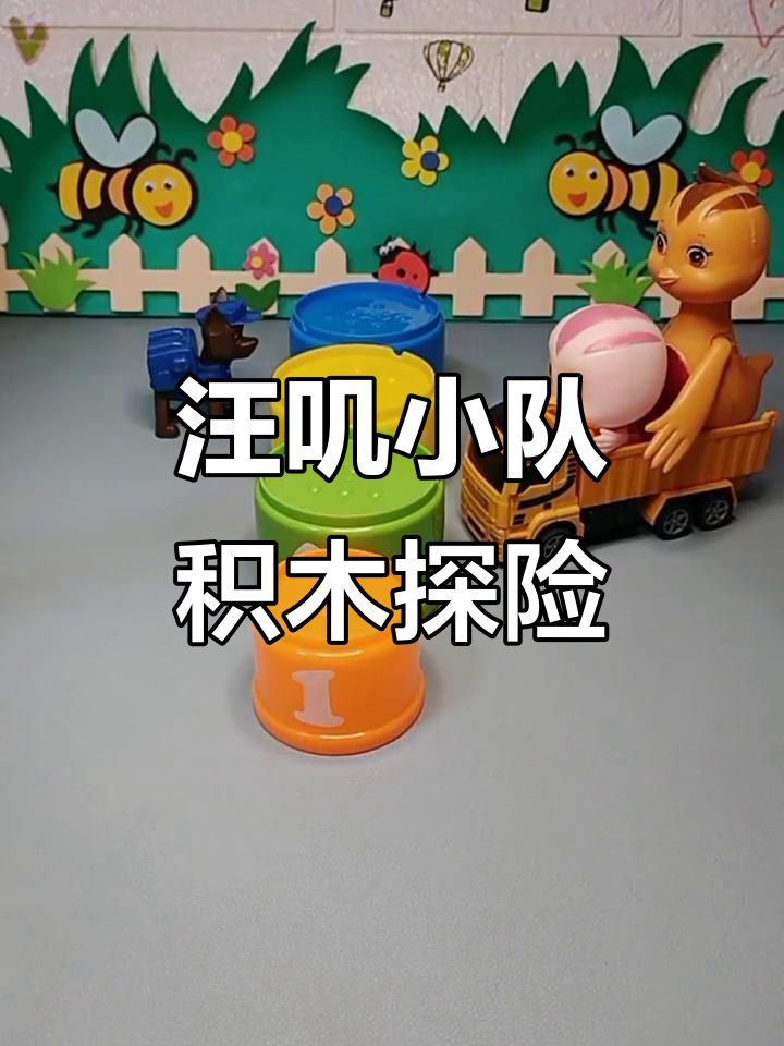 汪汪队和萌鸡小队的积木大冒险,一起帮助小鸡看病!